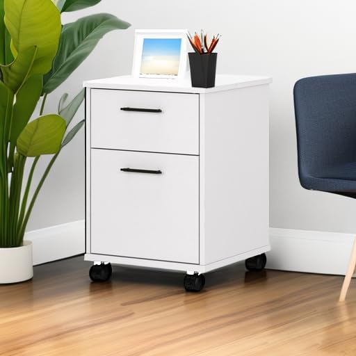 Bush Furniture Key West 2 Drawer Mobile File Cabinet, Rolling File Cabinet for Home Office
