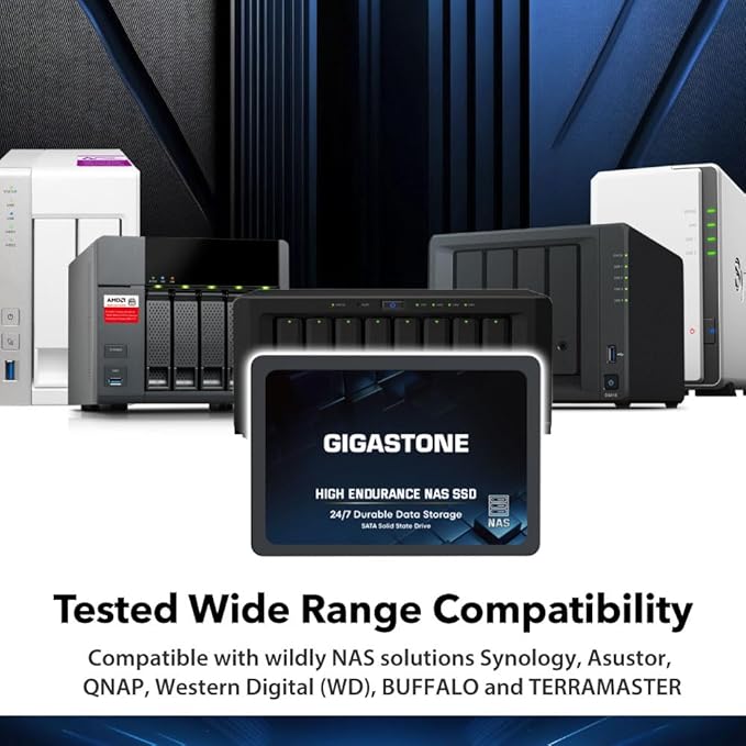 Gigastone 1TB NAS SSD Drive (2-Pack) 24/7 Durable TLC High Endurance RAID Data Storage Network Attached Storage 2.5" SATA Internal Solid State Hard Drives