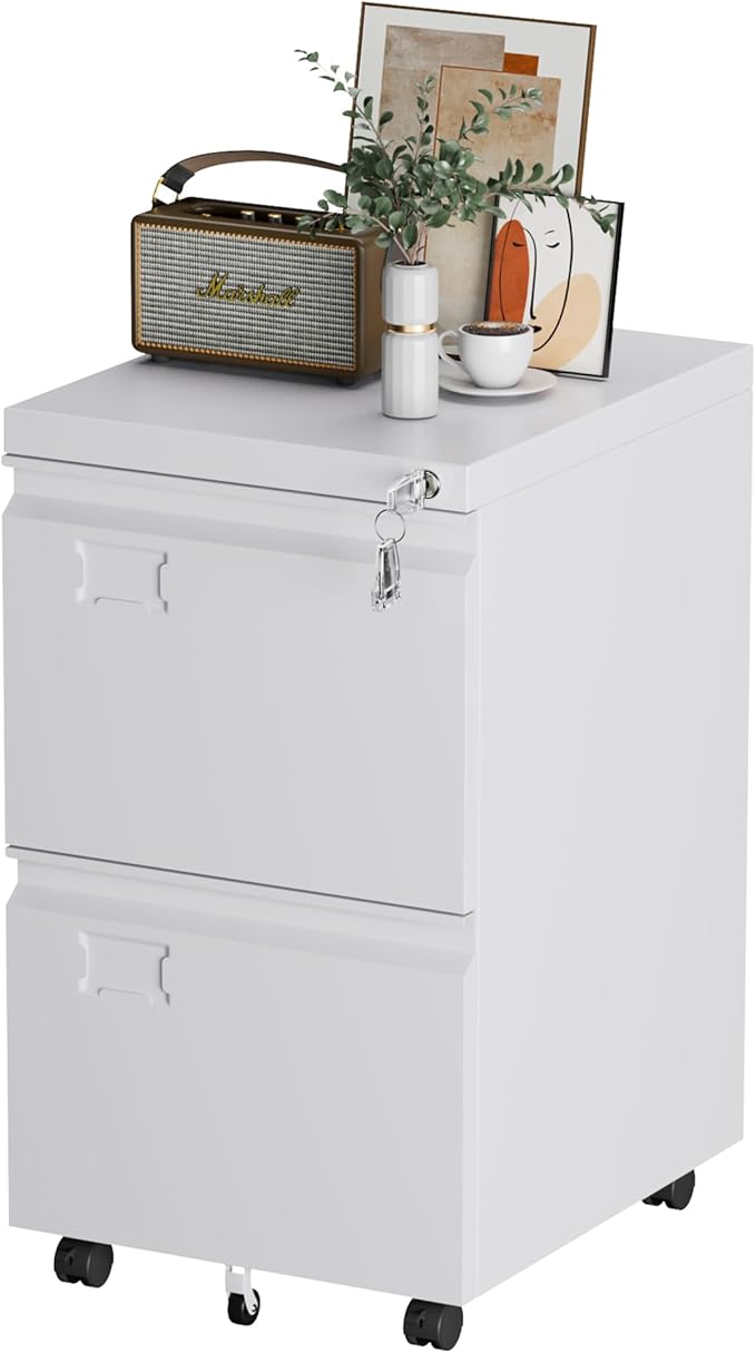 2 Drawer Mobile File Cabinet with Lock,Under Desk Metal Filing Cabinets for Home Office Fits Letters/Legal/A4 Size Folder, Assembly Required, White