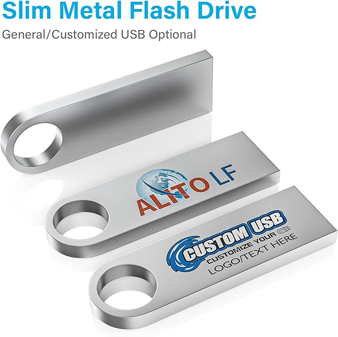 ABLAZE Custom Flash Drive 256MB 10 Pack, Personalized USB with Your Logo Metal Thumb Drives USB 2.0 Memory Stick Pendrive (Sliver)