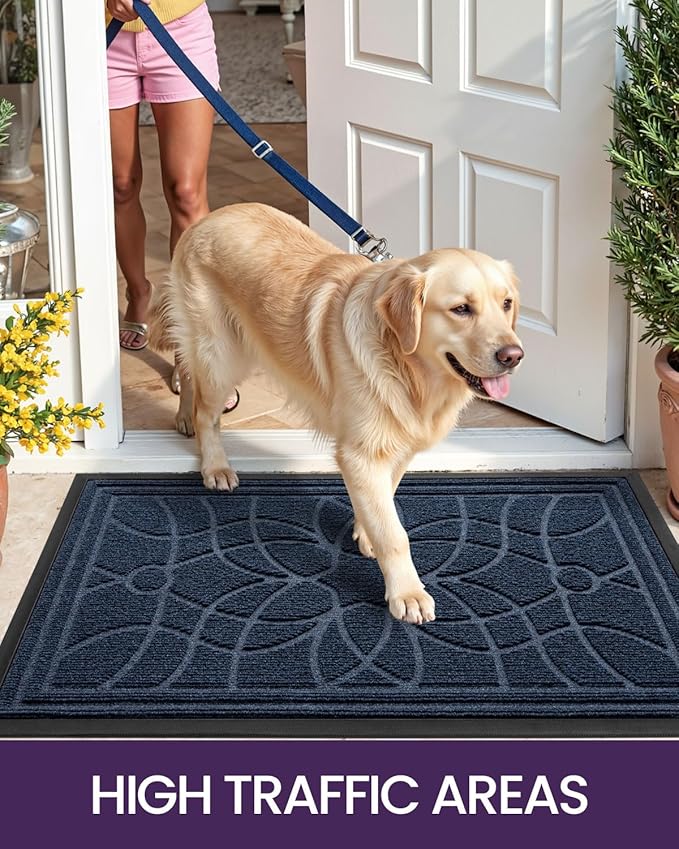 DEXI Front Door Mat Outside Entrance, Heavy Duty Non Slip Low Profile Doormat for Entryway, Trap Dirt and Moisture Welcome Mats, Easy Clean, Patio, Garage, 17x29, Blue